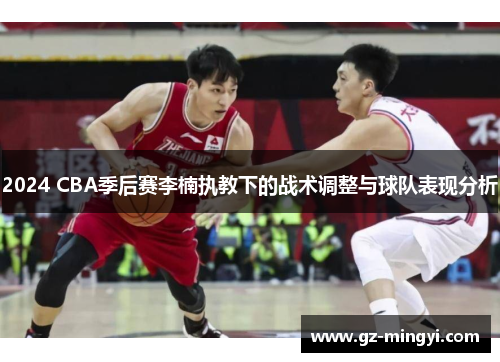 2024 CBA季后赛李楠执教下的战术调整与球队表现分析